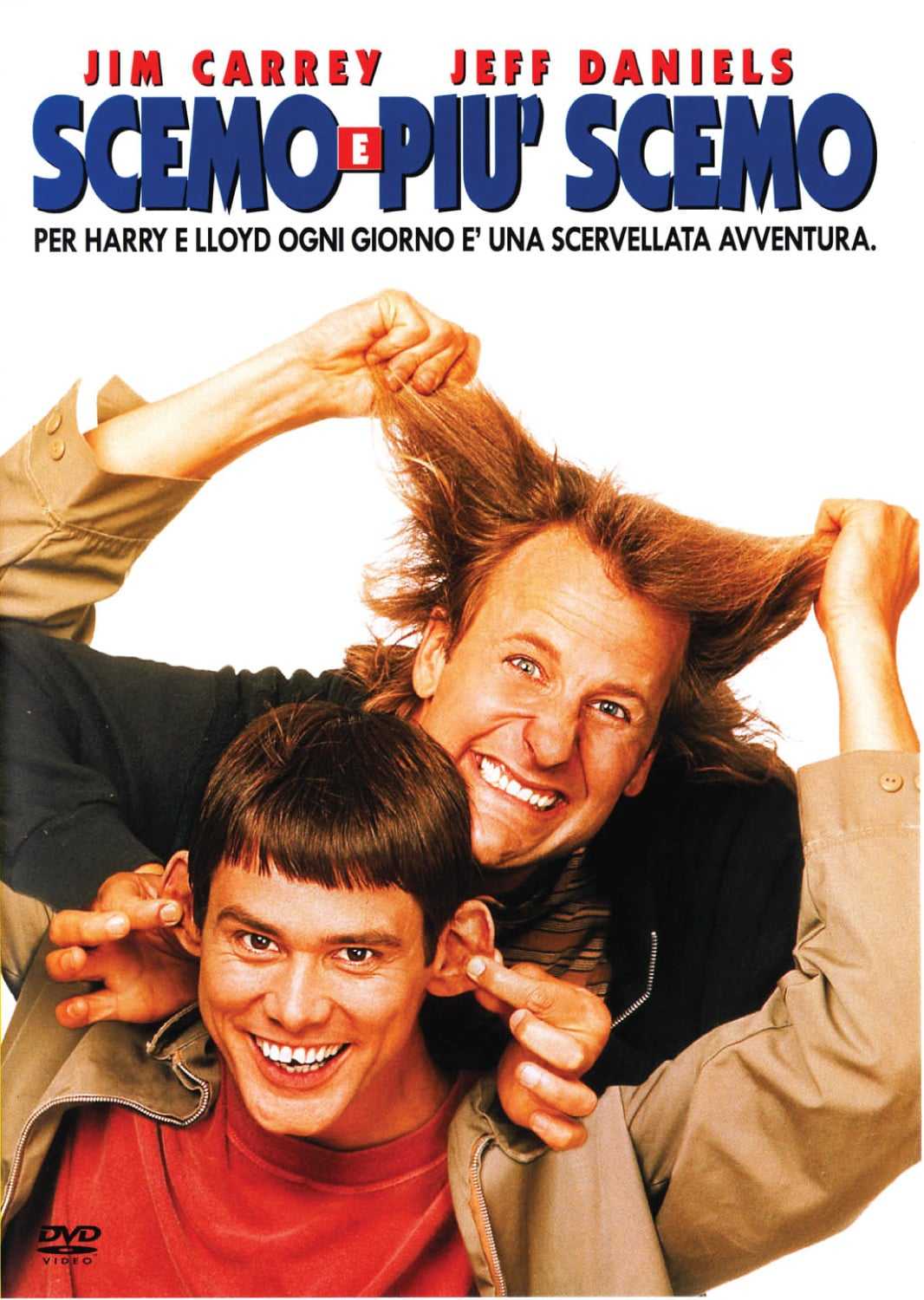 生活里其实当个白痴没有什么不好的