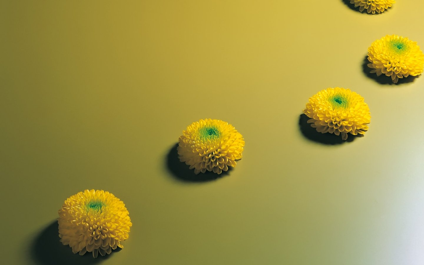 美句推荐:一切都会过去,明天各人又将各奔前程!