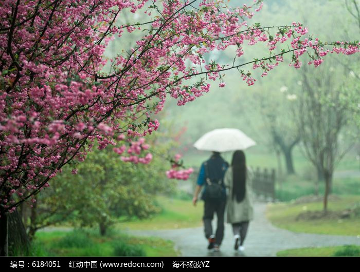 情侣雨中漫步背影图片图片