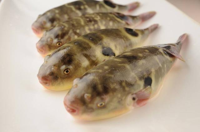 那些美味独特的国产顶级食材,你知道哪种?