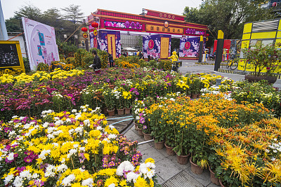 广东佛山:创意迎春花市开幕,醒狮财神大巡游