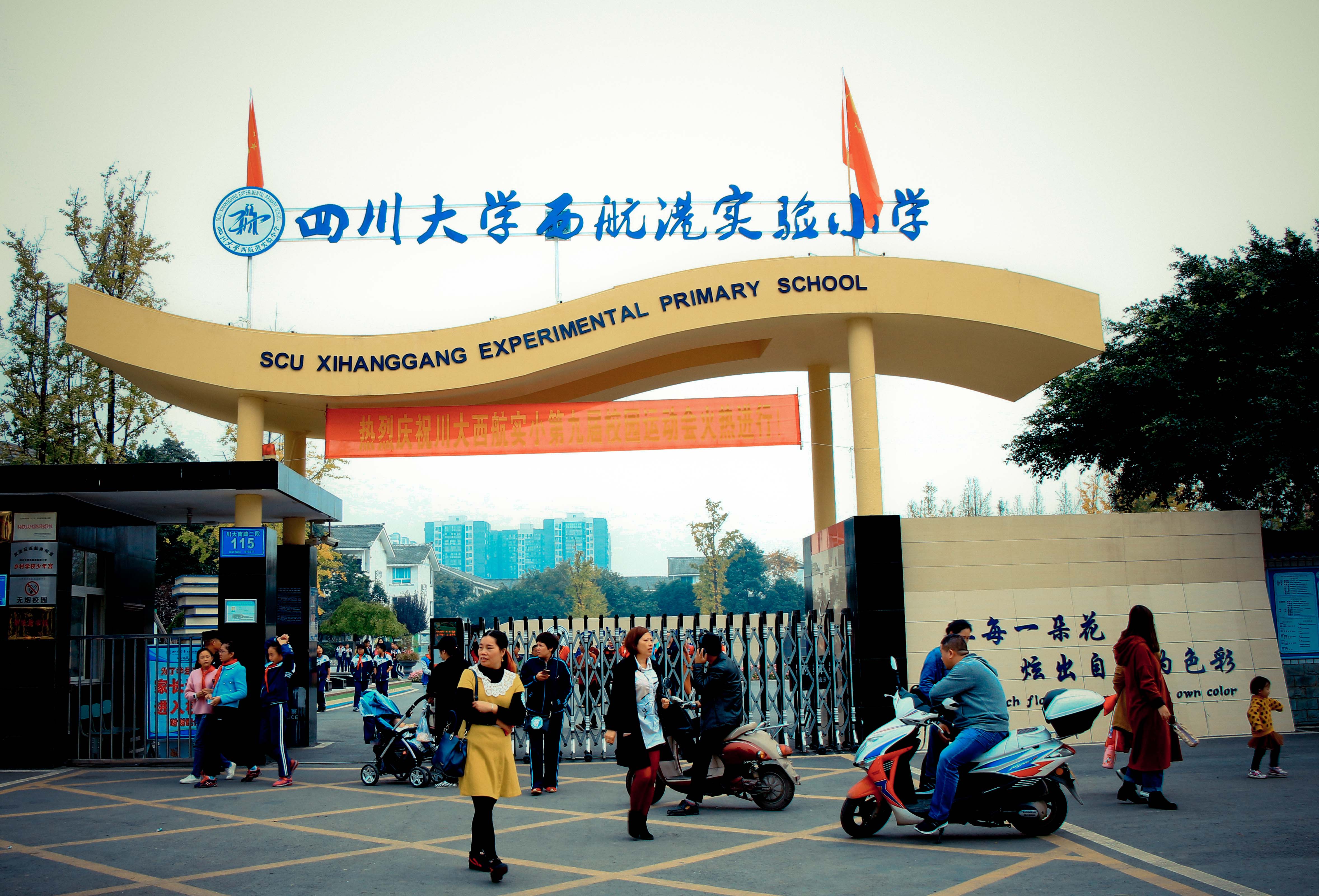 美丽的四川大学西航港实验小学:冬日校园风光