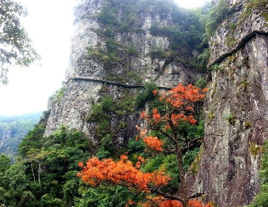 鸳鸯溪风景区是我国目前唯一的鸳鸯鸟保护区