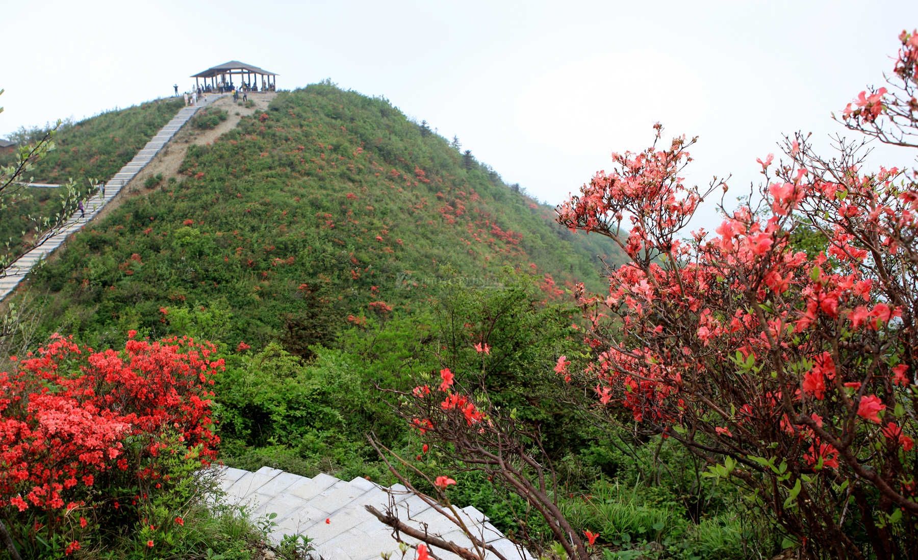 大熊山险峰如林,巨石沙滩,山青水碧,令人心旷神怡,美不胜收