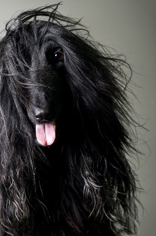 这一头飘逸的长发,乍一看还真是挺害怕