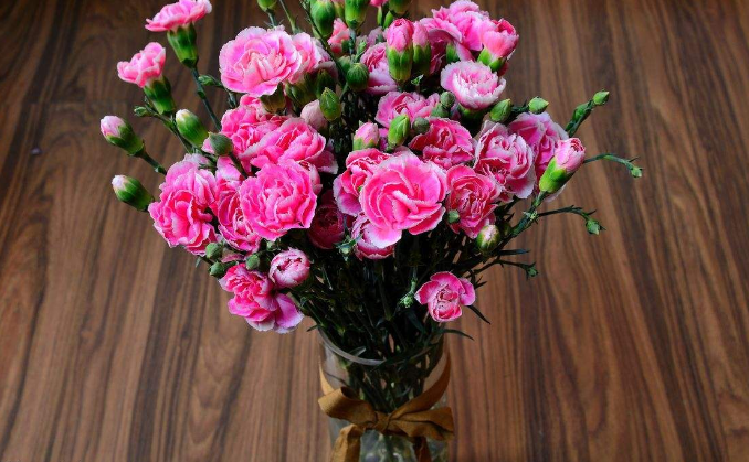 史上最全康乃馨插花组图,赶快收藏起来吧