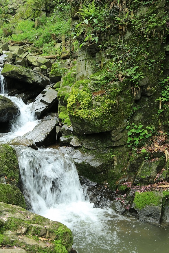 炎炎夏日,持续高温,清凉照共赏