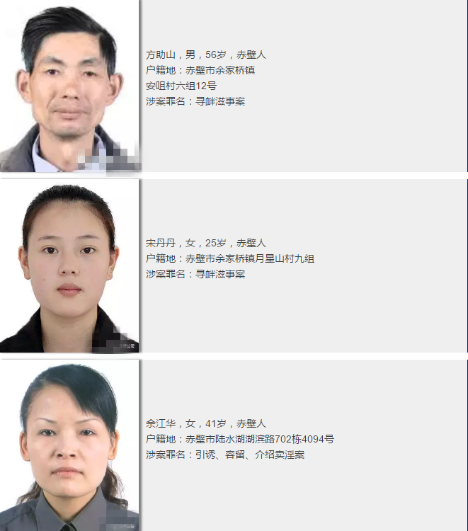 湖北赤壁市公安局发布扫黑除恶1号通缉令 看到这些人快报警