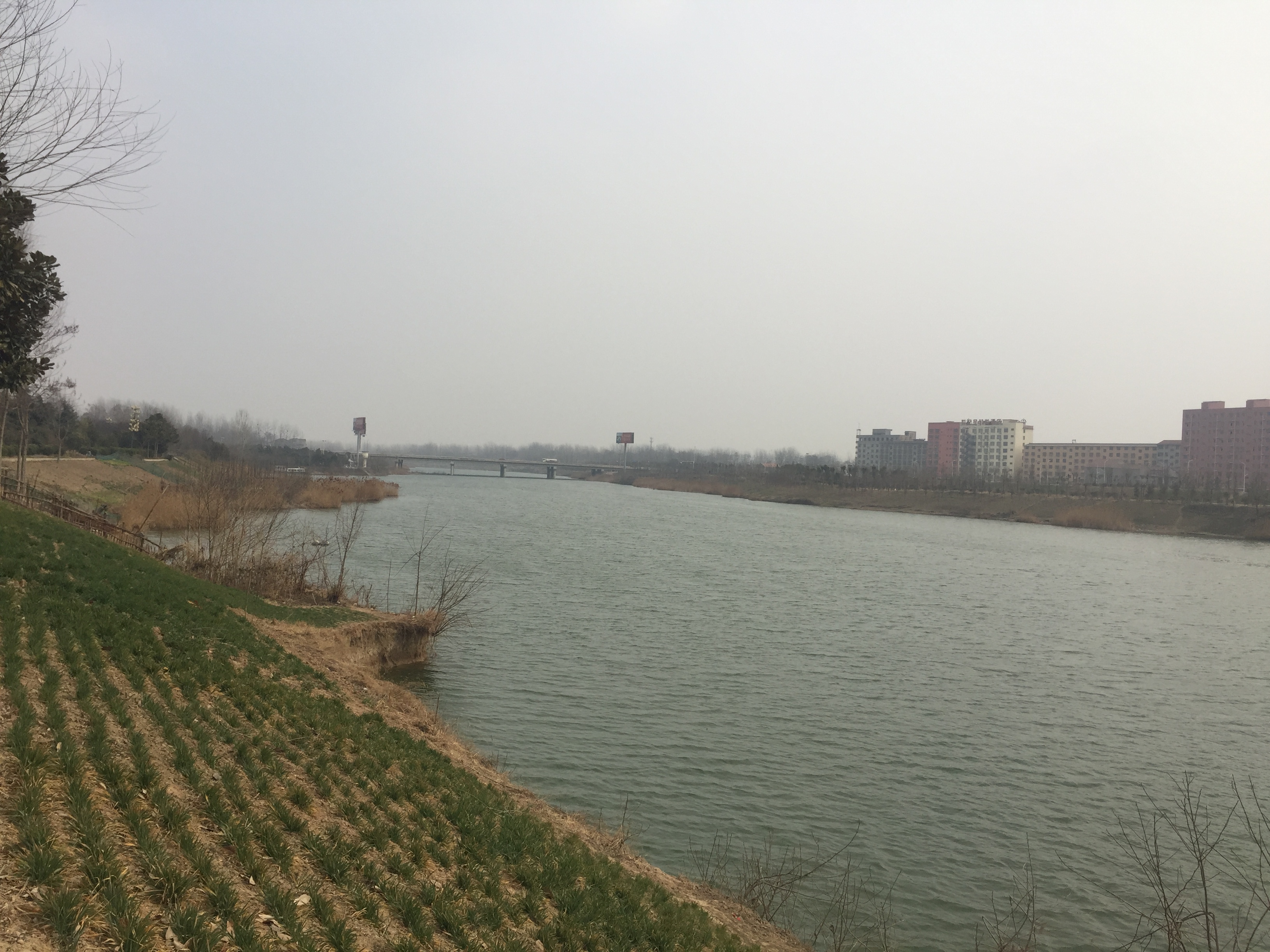 鹿邑涡河大闸以及沿河漂亮风景