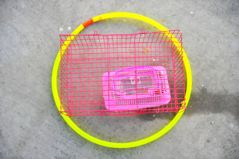 套圈笼子与圈差不多大 谁能套的上?生意冷清听小编劝解除去外笼