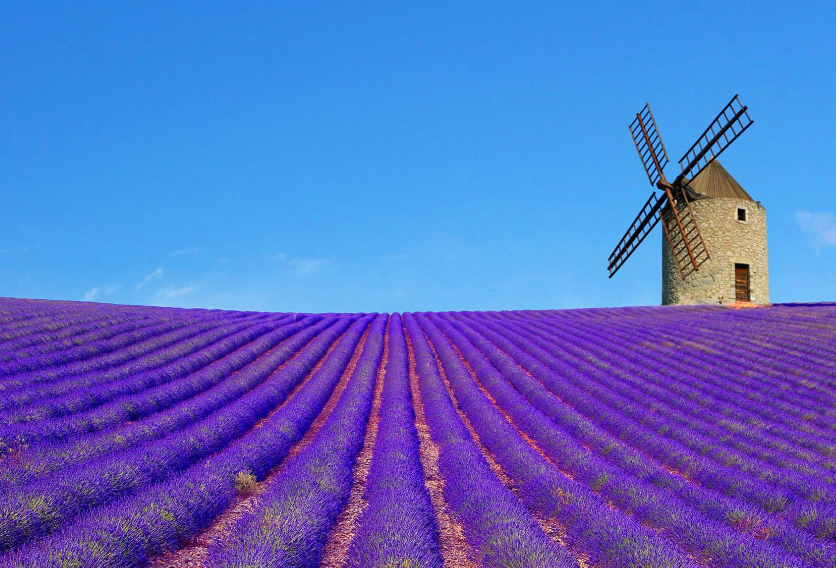 风音雷乐,蝉鸣鸟语,丛林天籁,琴瑟声声