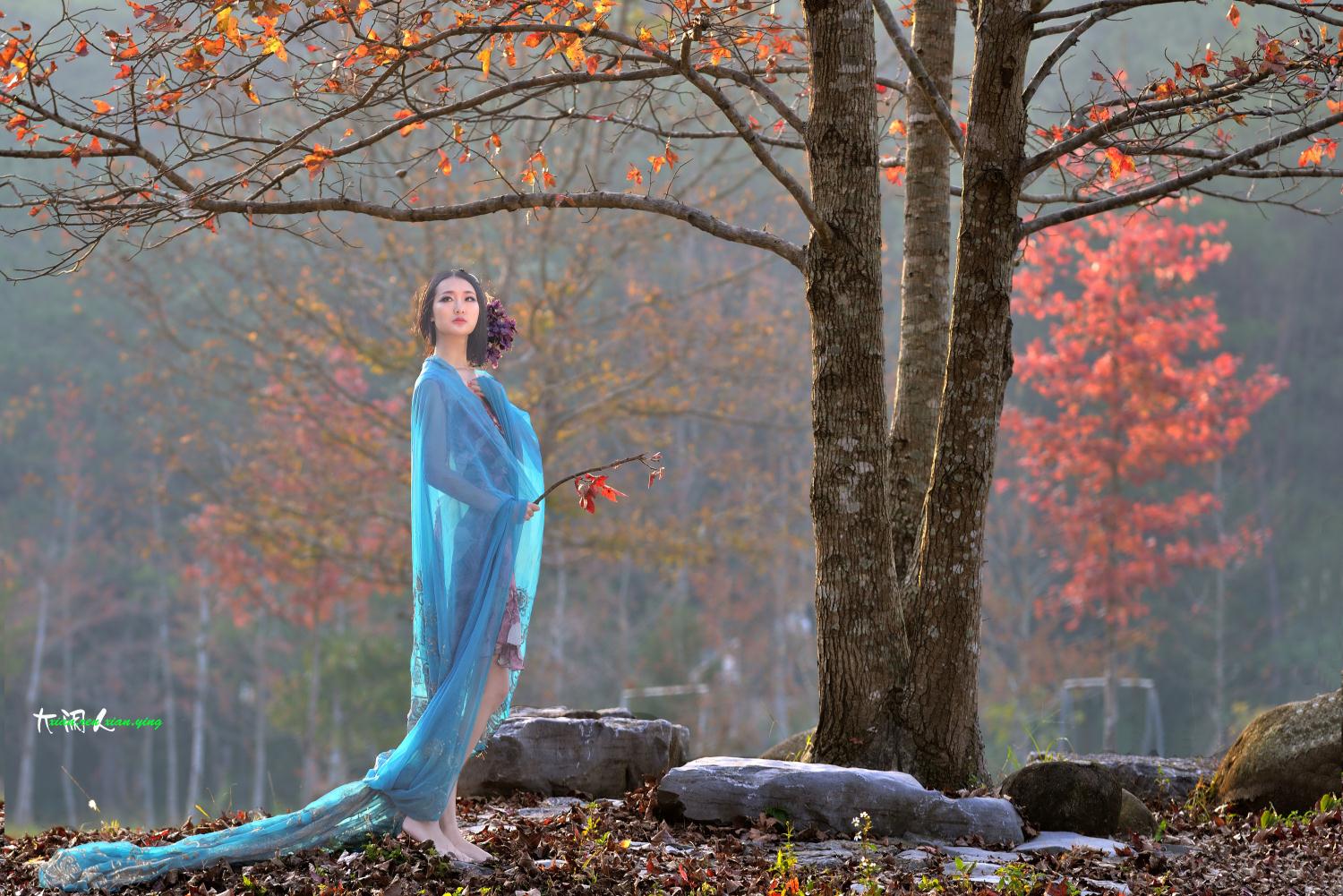 《光与影》红枫林 女神