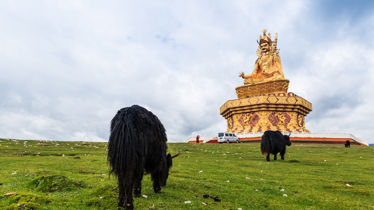 川西行之藏传佛教探秘纪实 亚青寺