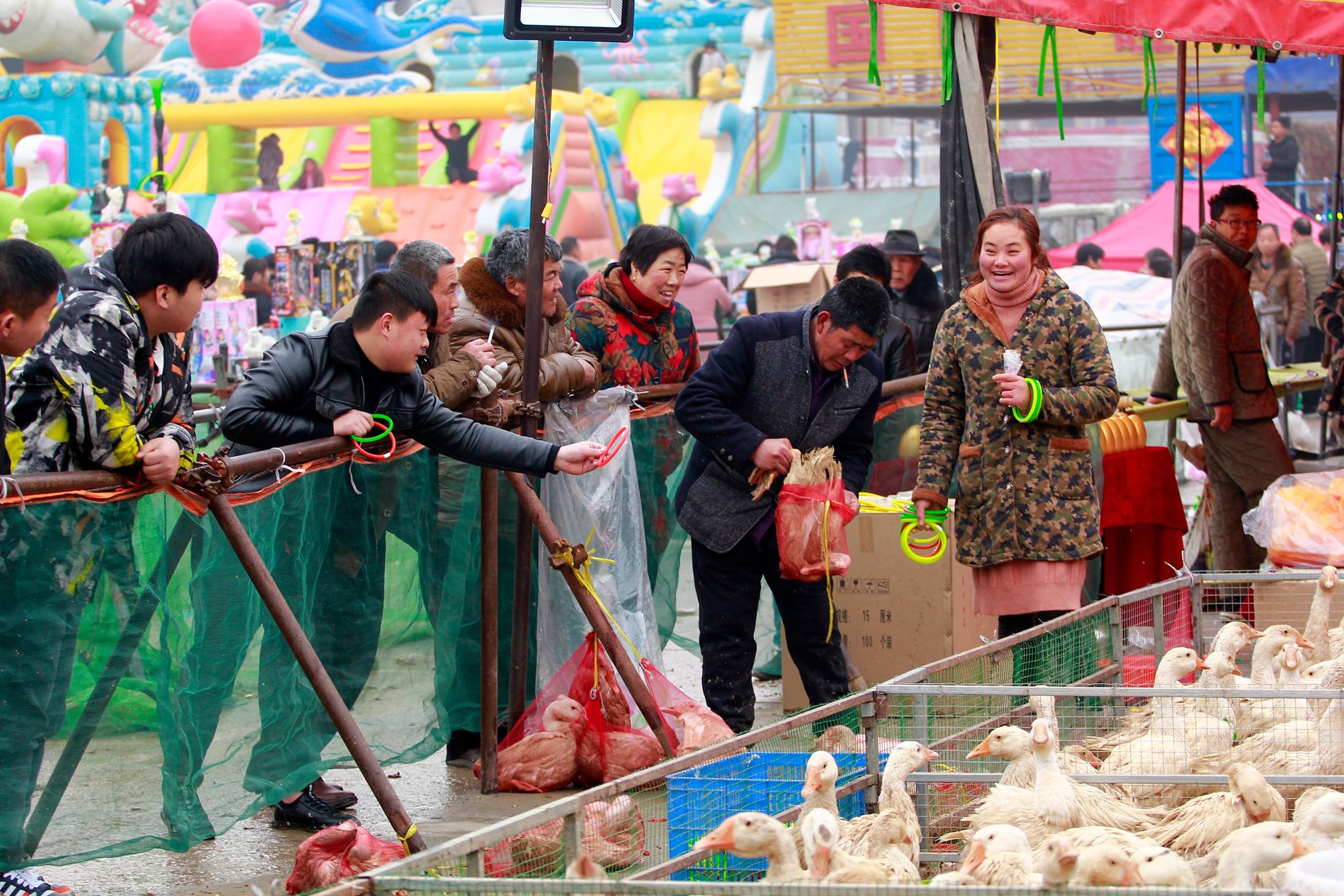 新春庙会套鹅一个圈2块 游客用圈把鹅晃晕套走10来只 老板娘叫好