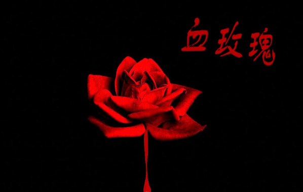 美丽却又致命的血玫瑰,每前进一步都充满着死亡的气息