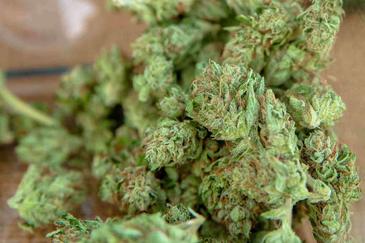 美国多个州合法化医用大麻,大麻粉丝在风口上赚得盆满钵满