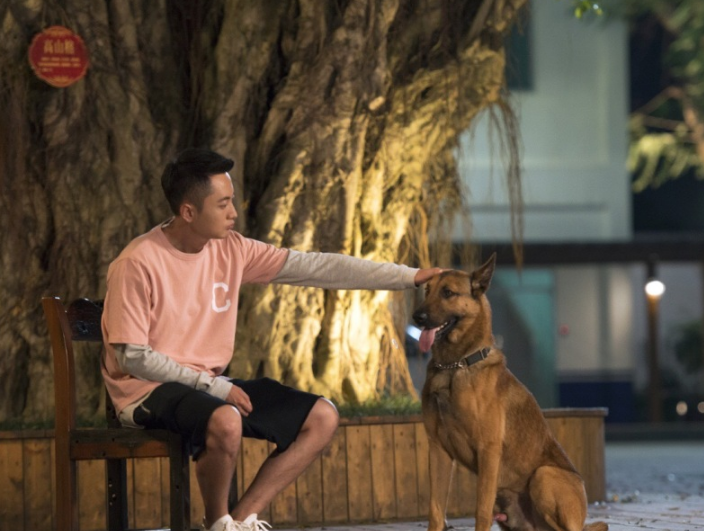 警犬来啦中的"梁粤"贾景晖,到底瞒着我们拍了多少电视?