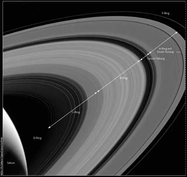 九大行星证件照!冥王星最洒脱,地球最自信!