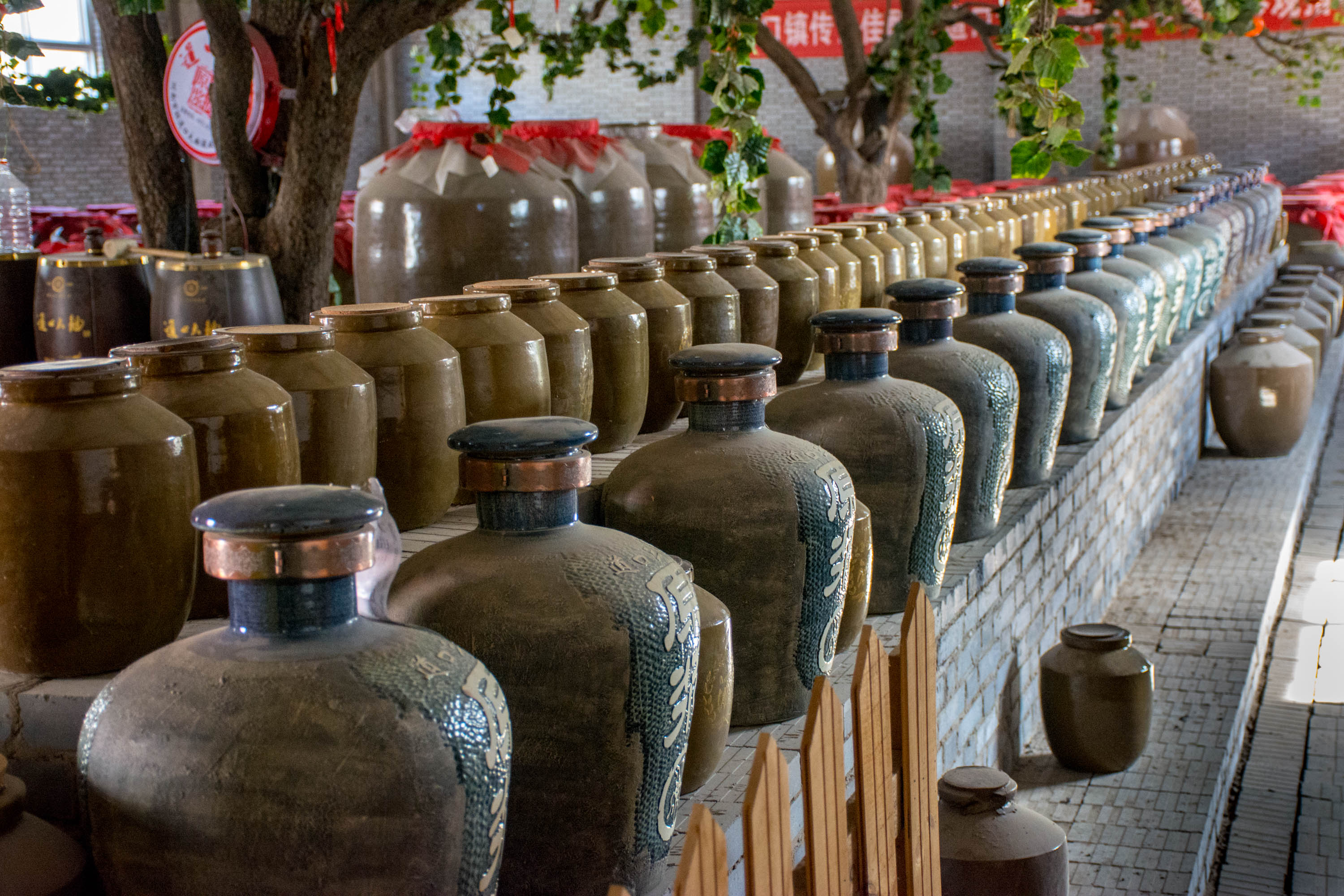 这个农村酒作坊储酒方式真特别,人们把原浆酒坛写上名字埋入地下