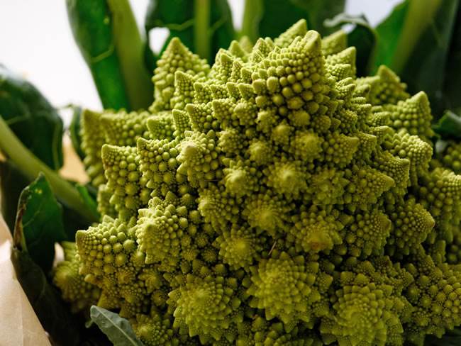 全球最罕见的蔬菜,第一种就给跪了,最后一种根本舍不得吃!