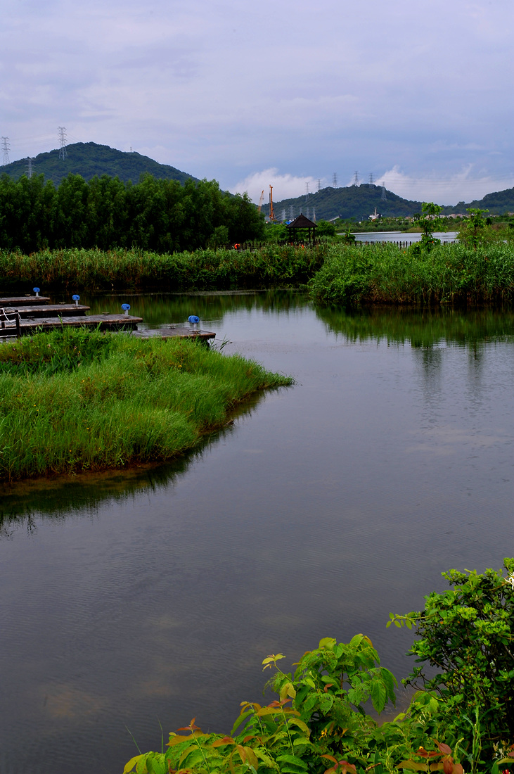 横琴滨海湿地公园图片图片