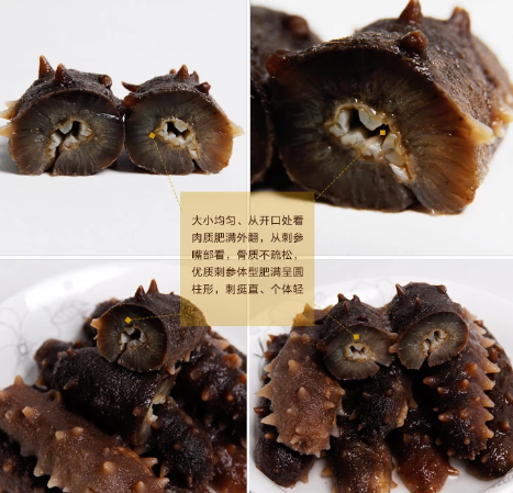 网购海参请小心,别上了有机海参的当