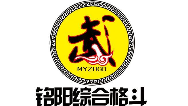 铭阳综合格斗少林功夫1