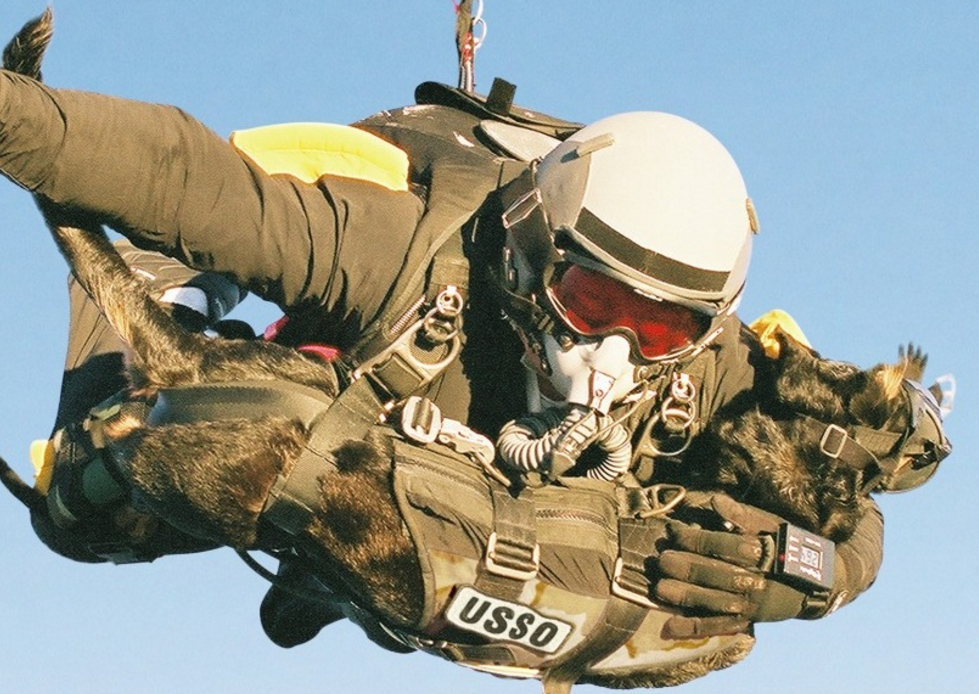 竟让狗狗跳伞,看着那一个个"生无可恋"的表情,实在太搞笑了!