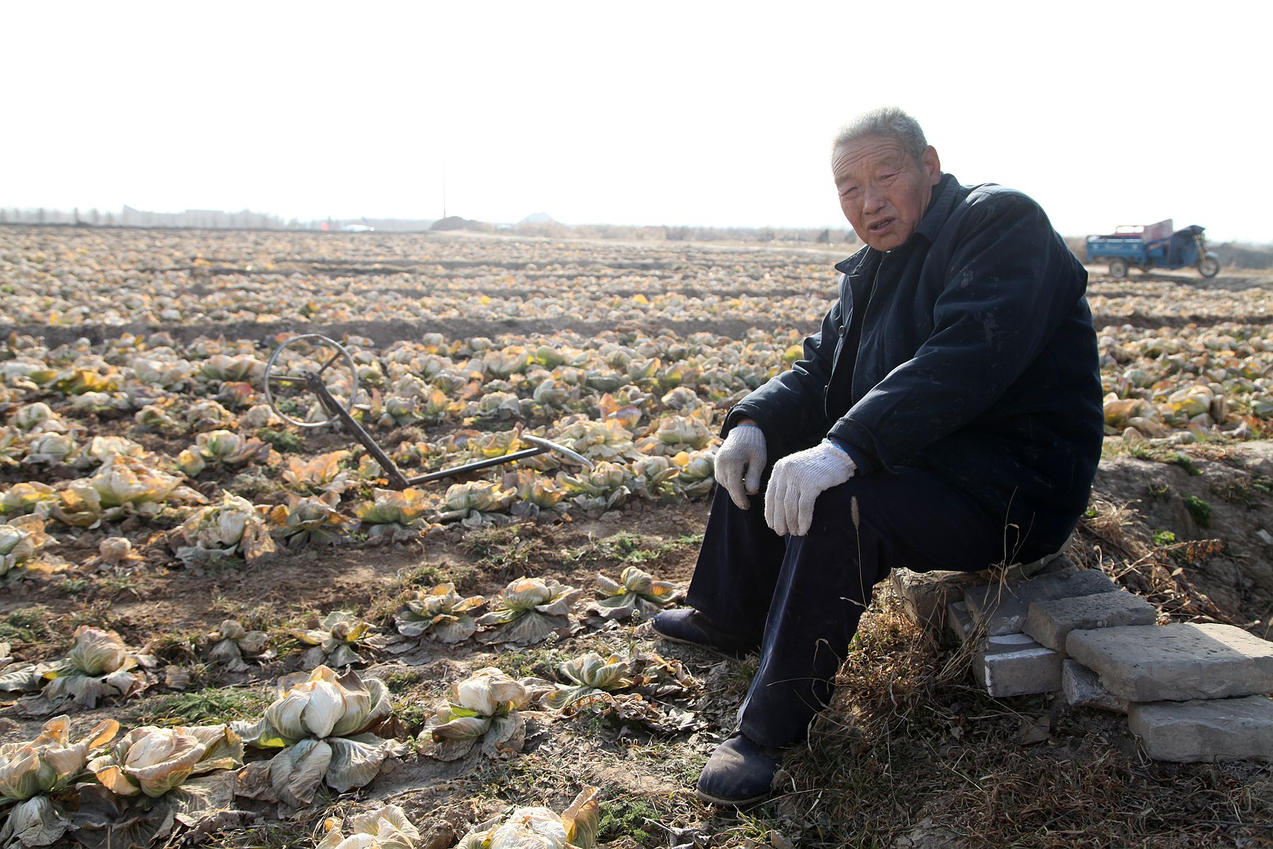 65歲農民大爺用這個田間鋤草神器,效率是鋤頭的3倍