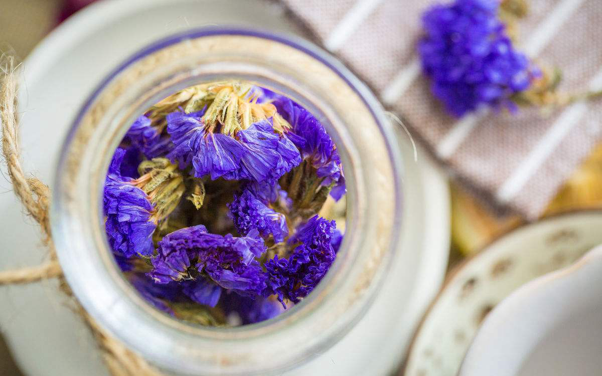 勿忘我花茶能滋阴补肾,深受广大女性的喜爱,但有这三个禁忌