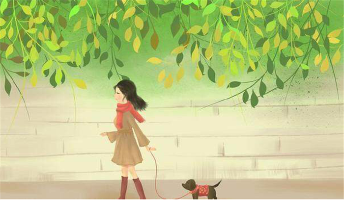 沈惜凡独自出国,何苏叶却没有来送行!