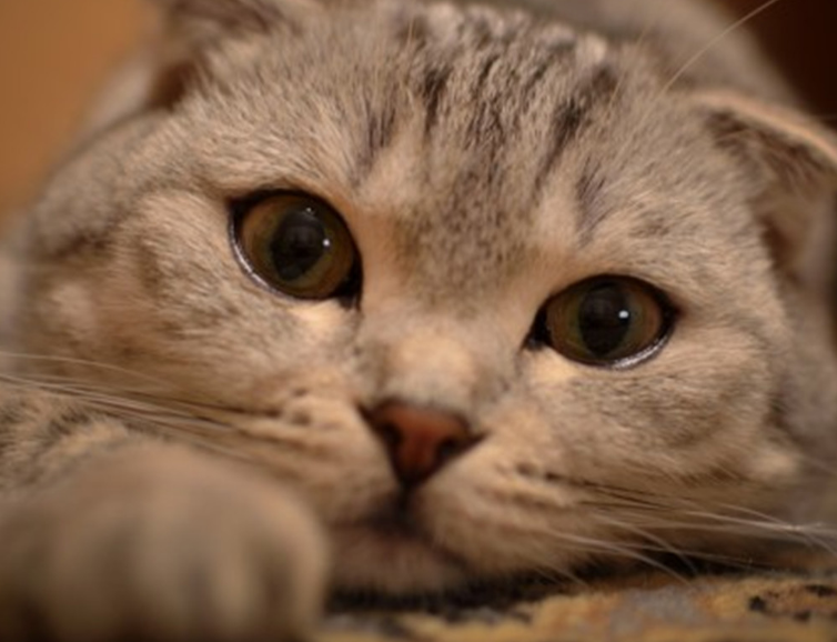 《微雨红尘》:怎么突然间这么高兴?看到熟人了