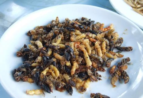 第四烤蜗牛寿司 恶.剥了壳的蜗牛.实在像黏乎乎的蛞蝓.