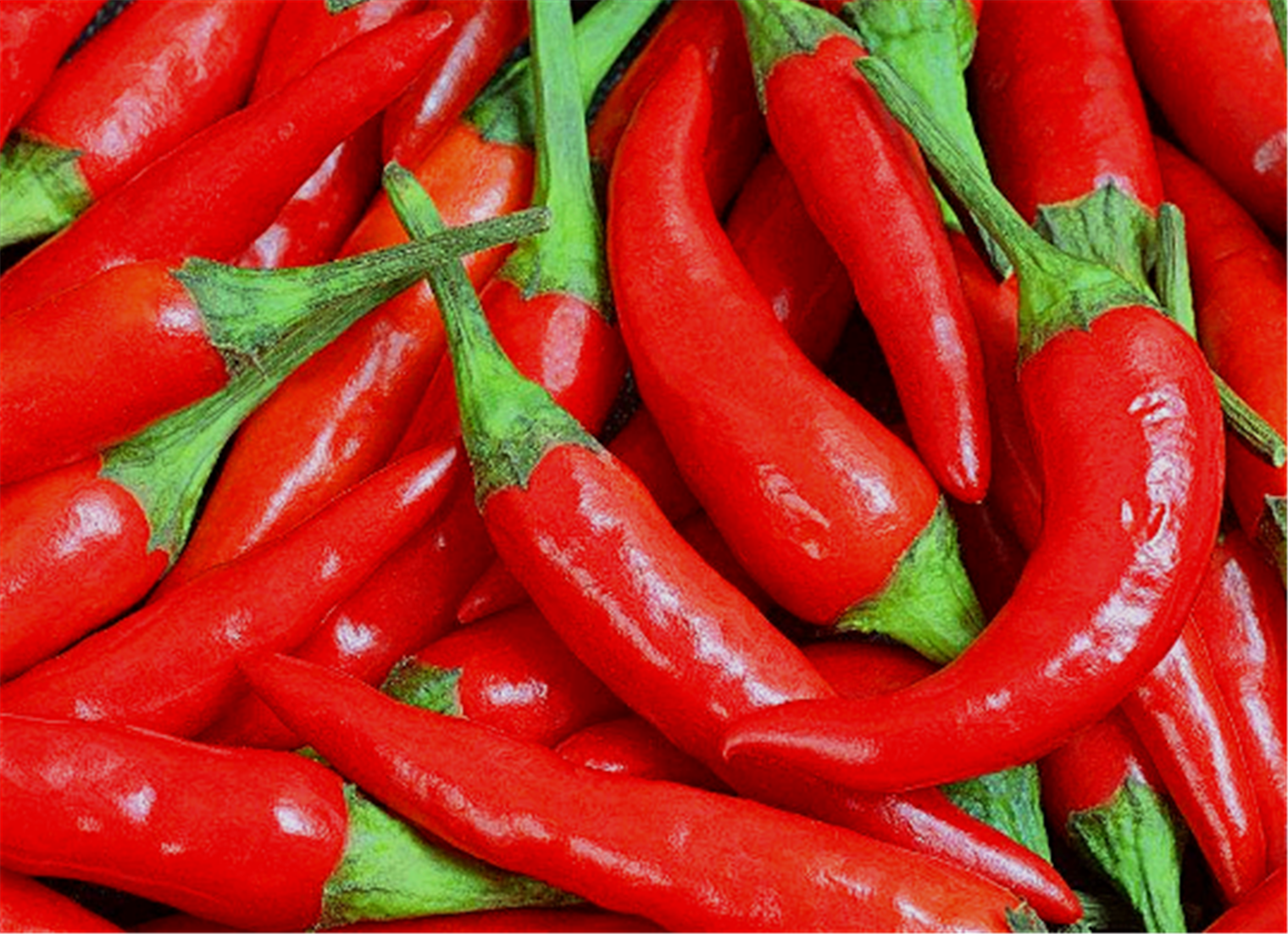 世界上10种最辣的辣椒,一般人都承受不了!