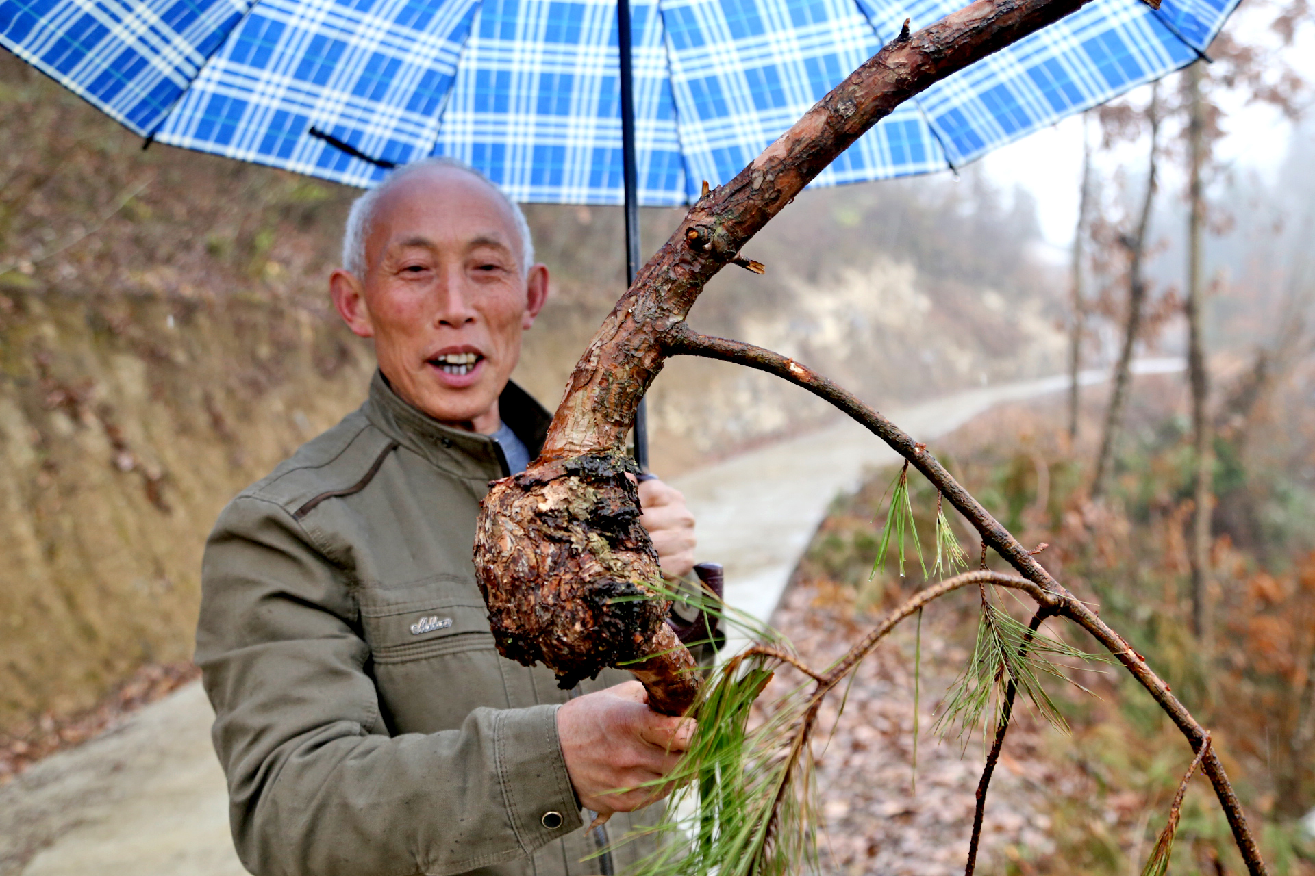 古代农家照明:松树油亮子,摄影师建议开发成旅游纪念品