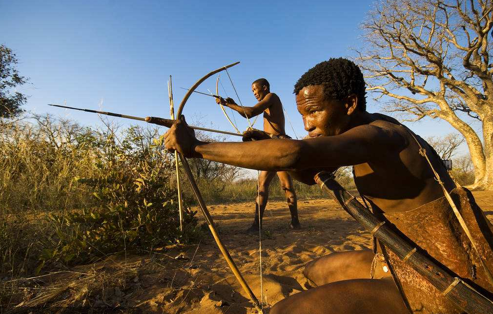 神似黄种人的,非洲布须曼人