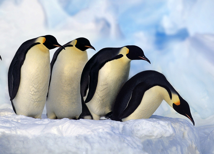 《微雨红尘》:林山,这是我大学同学,陶千尘和尧雨