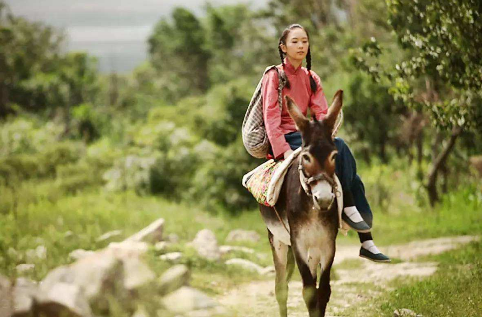 我有一头小毛驴,从来也不骑,毛驴也是很萌的