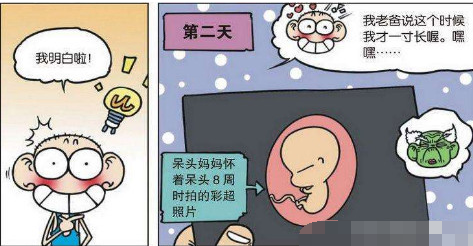 爆笑校园漫画 呆头的照片果真与众不同