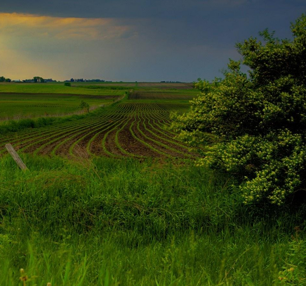 乞儿弄蝶(乞儿弄蝶蝶恋花,流浪行乞乞朝霞,求横批)