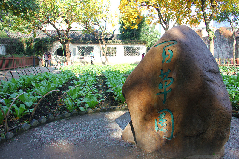 沈园怀古,百草园觅童趣,茴香味里游绍兴