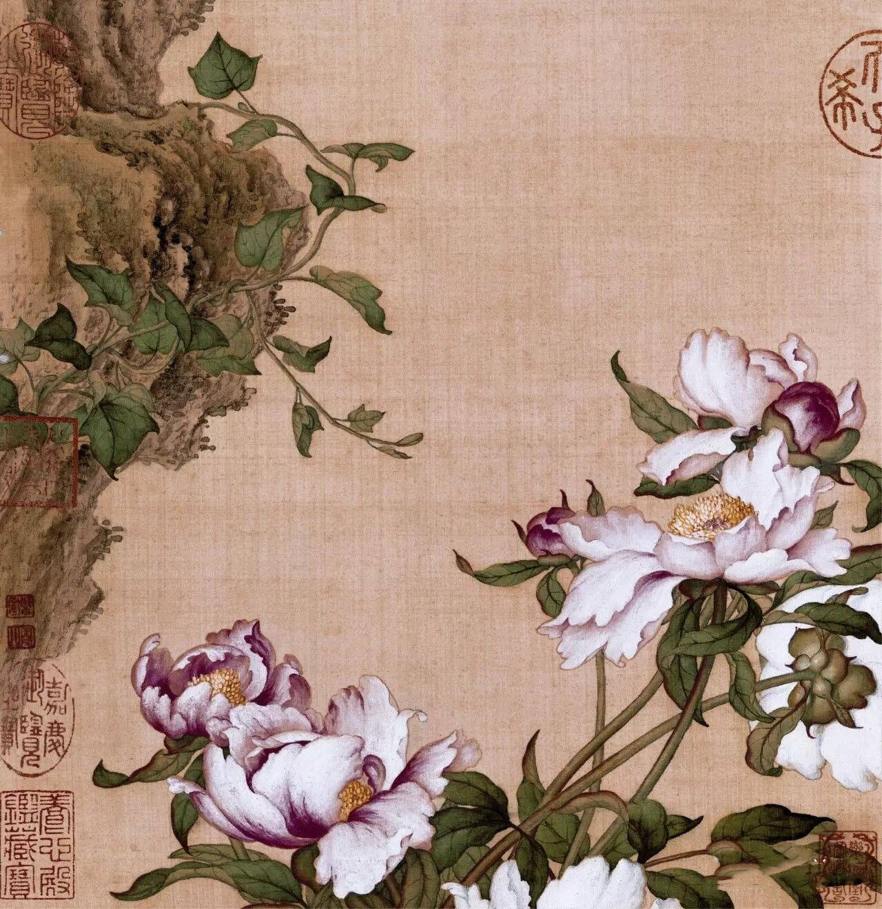 郎世宁工笔花卉图欣赏