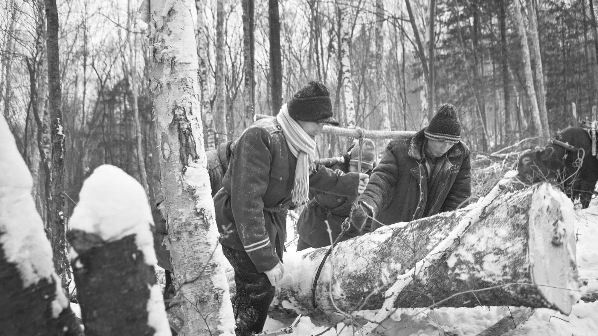 随着货车把木材运往全国各地,林业工人也就"名扬天下"了