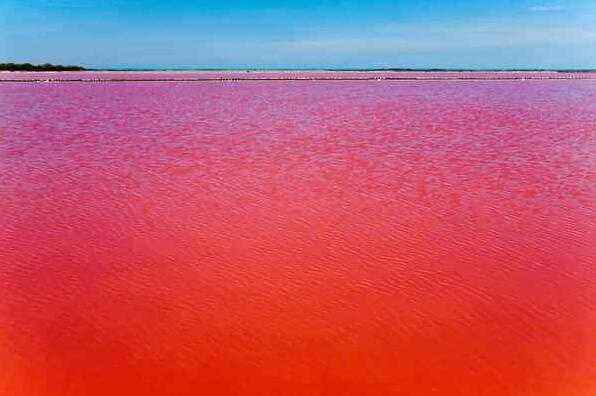 "鲜血"铸就的湖泊,红透了伊拉克半边天——伊拉克红湖