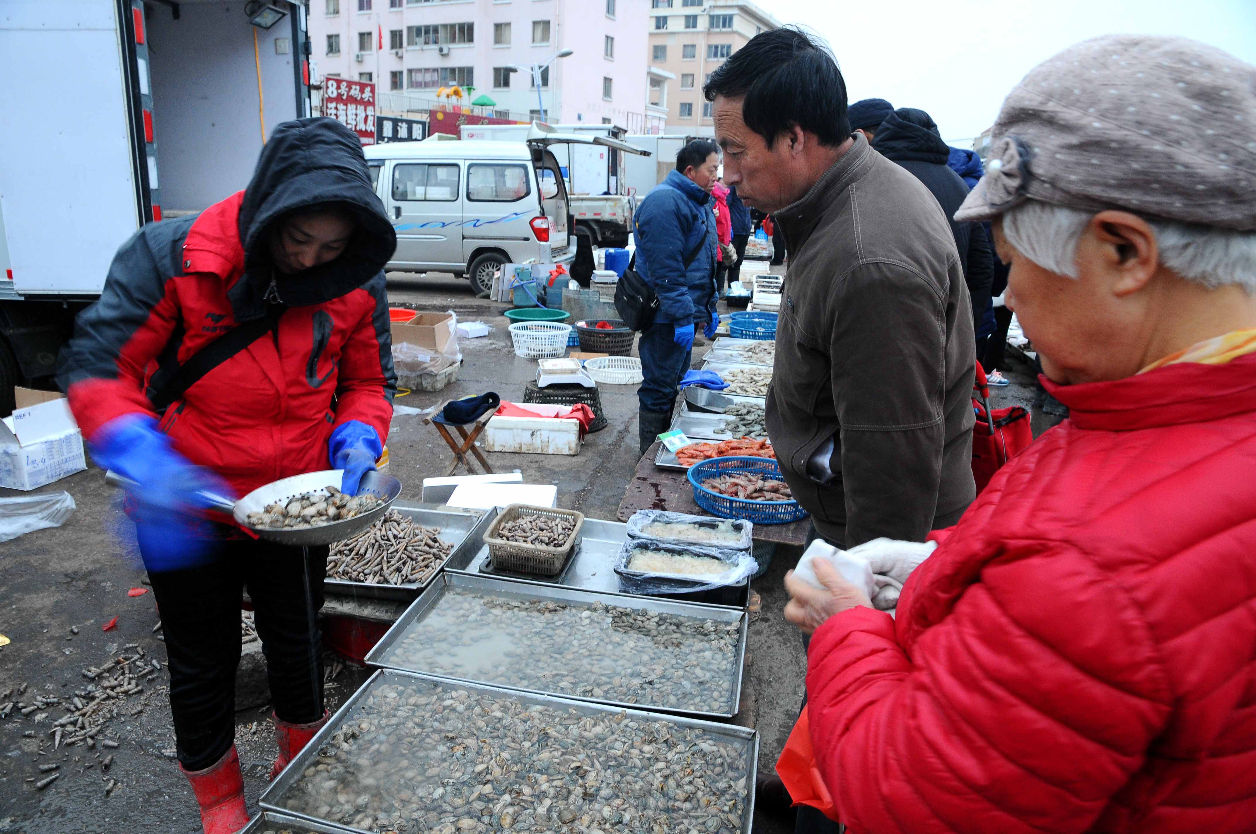 实拍 正月十五青岛海鲜早市 皮皮虾50一斤 八带鱼38贝类海味热销