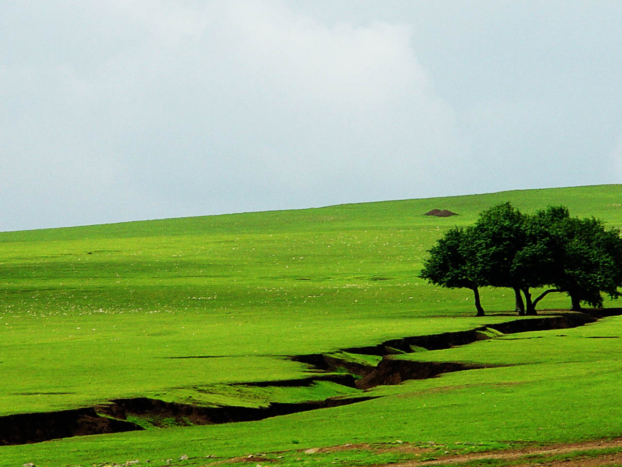这里的景物无任何人工雕琢痕迹,天然之美比比皆是,让你乐在其中