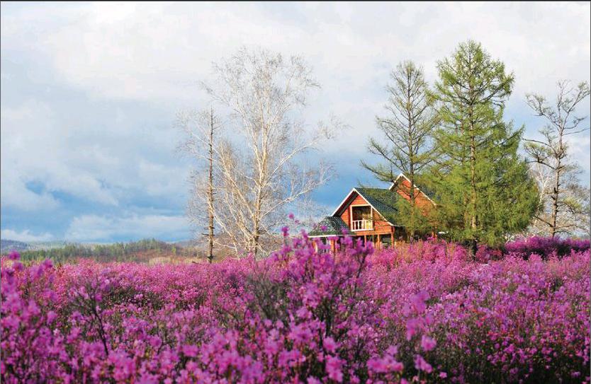 达尔滨湖:杜鹃花丛摇曳着的神秘