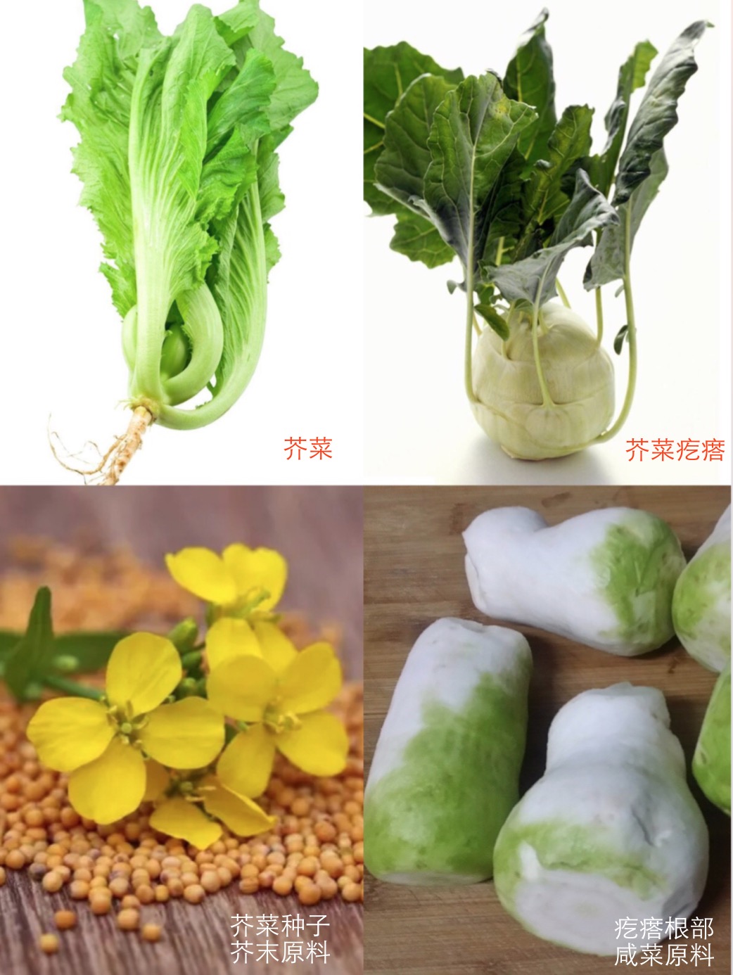 我知道的不多,但我要让你读懂芥末,辣根,山葵的区别