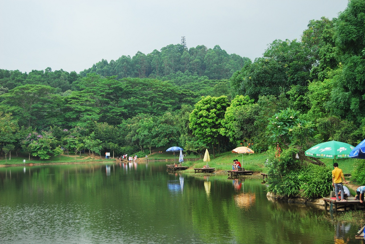大夫山森林公园位于广州市番禺区市桥以西三公里处,跨市桥,钟村两镇