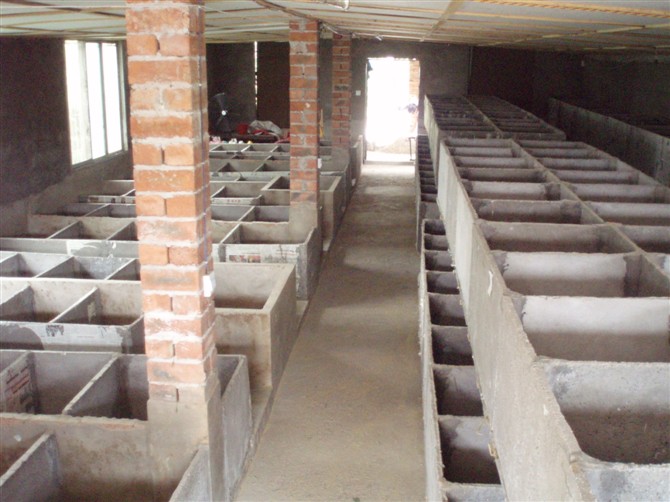 竹鼠养殖圈舍的建造